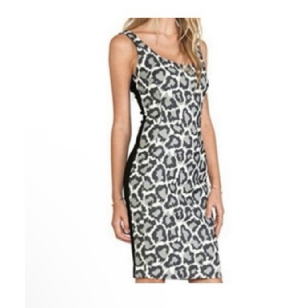Diane Von Furstenberg Arianna Animal Print Dress